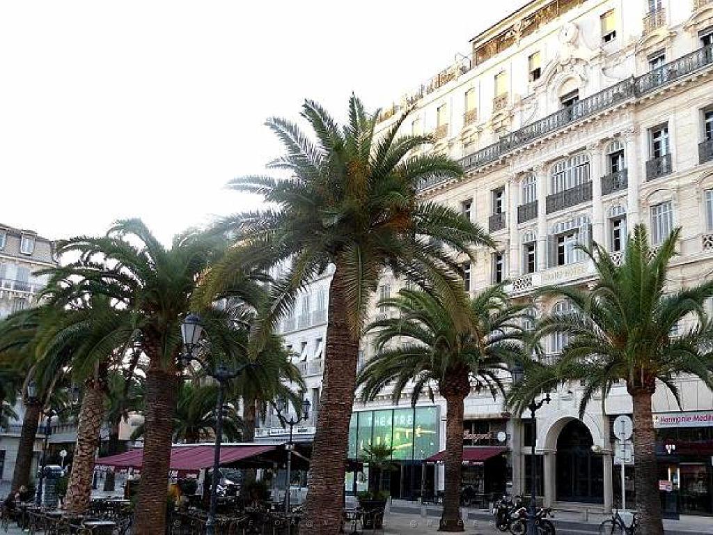 184 TOULON LA VILLE (67).jpg